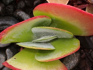 PA281002a.jpg